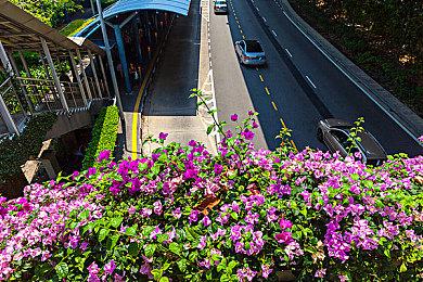 《城市：天际线2》销量超过100万套 用时3个月